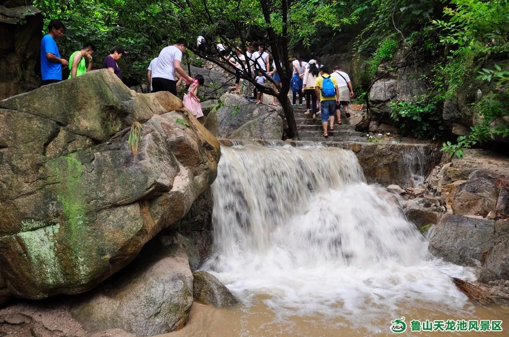 鲁山天龙池风景区 门票半价优惠活动隆重开启!