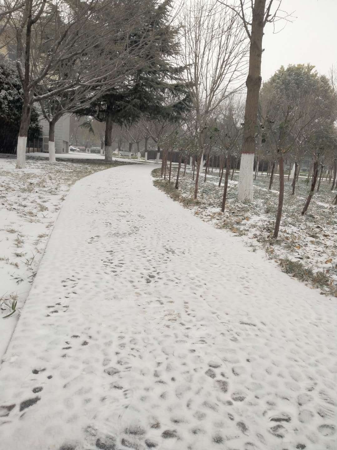 雪正在"到货" 你那里下雪了吗?