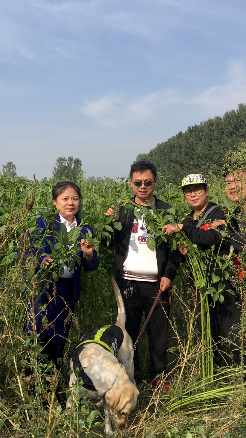 国际盲人日"王菜生物"暖心献礼,阳光之家走进"帝王菜"采摘基地