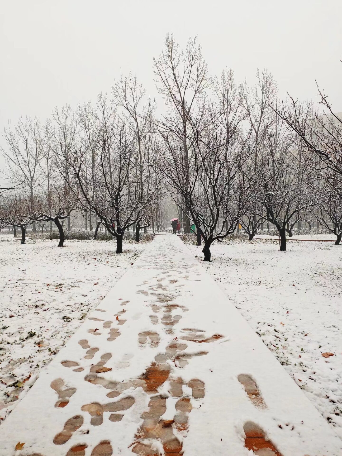 2020河南初雪 |