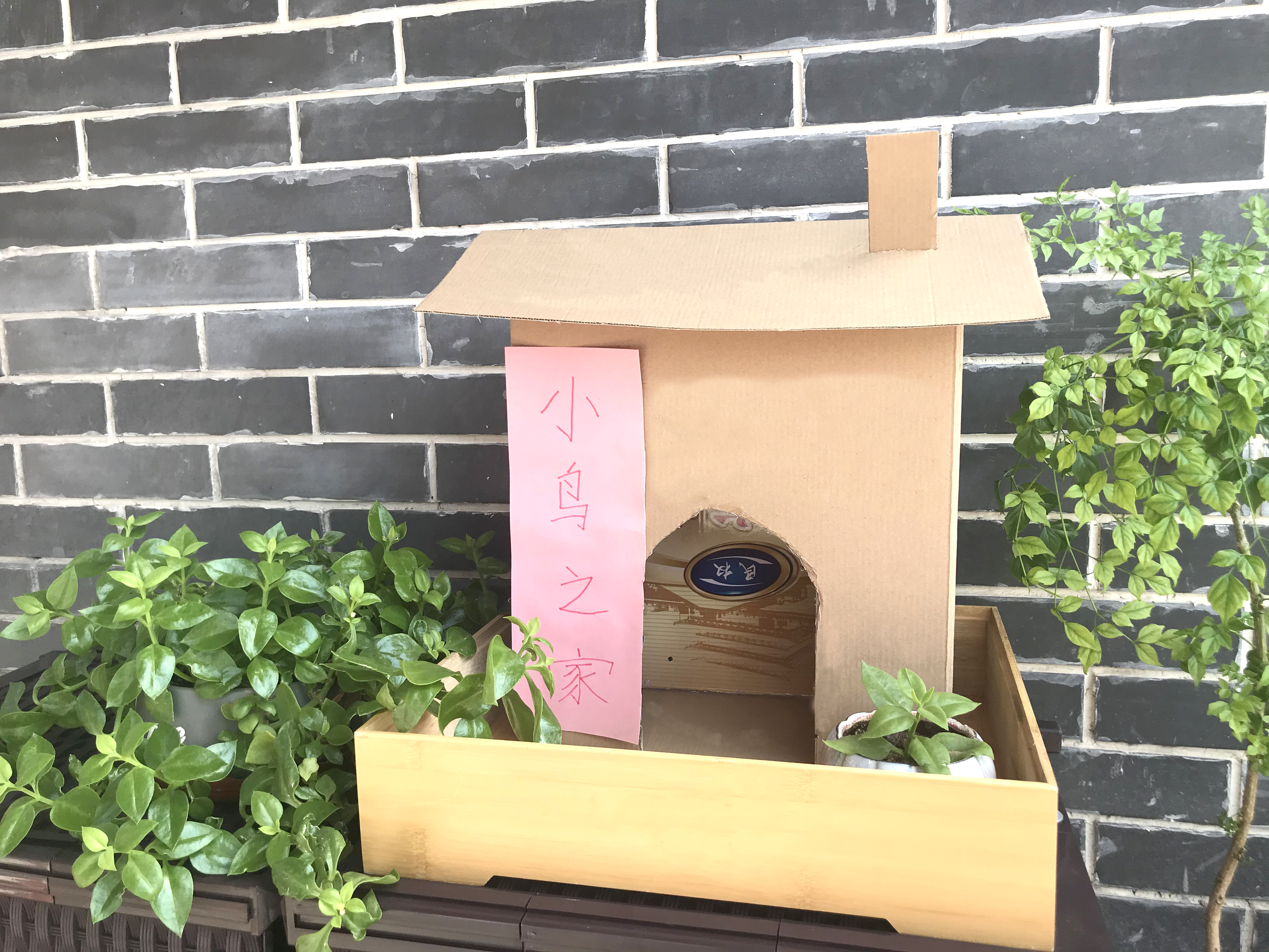 废纸盒改造成小鸟之家