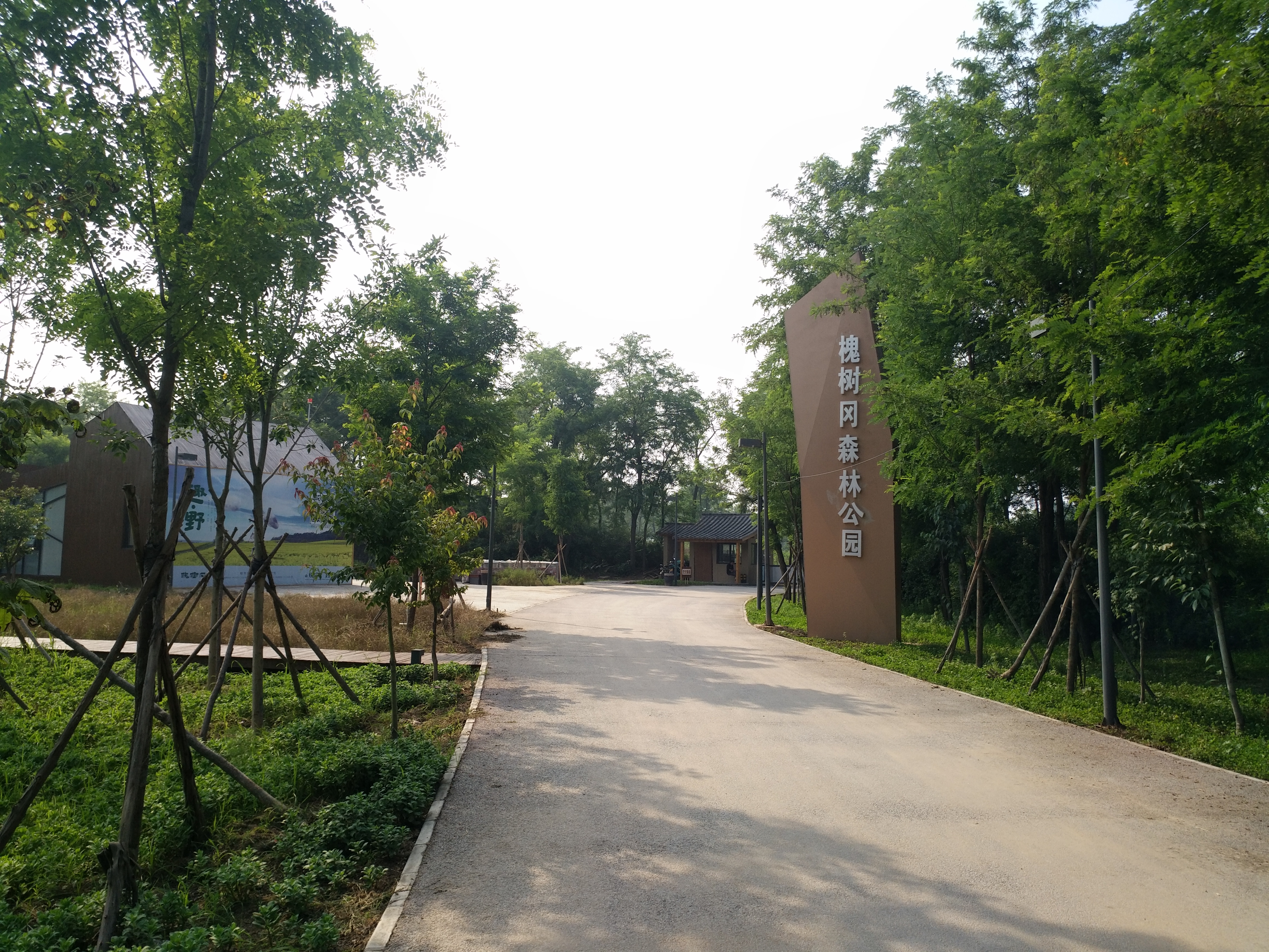 郑州近郊葡萄园陆续开园啦,最新最全攻略奉上助您去抢"鲜"!