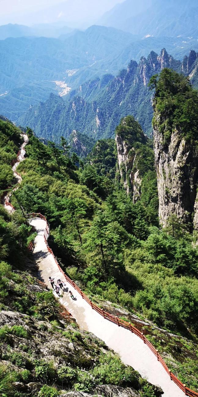 全国教师请查收！栾川这些景区有免门票、门票半价福利！