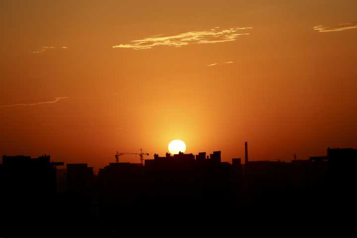 七级大风吹来长尾巴金凤凰郑州人快看