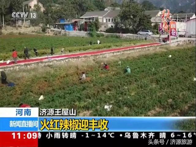 国庆黄金周“老家河南”旅游大丰收！河南迎客6186.6万人次，总收入464.6亿