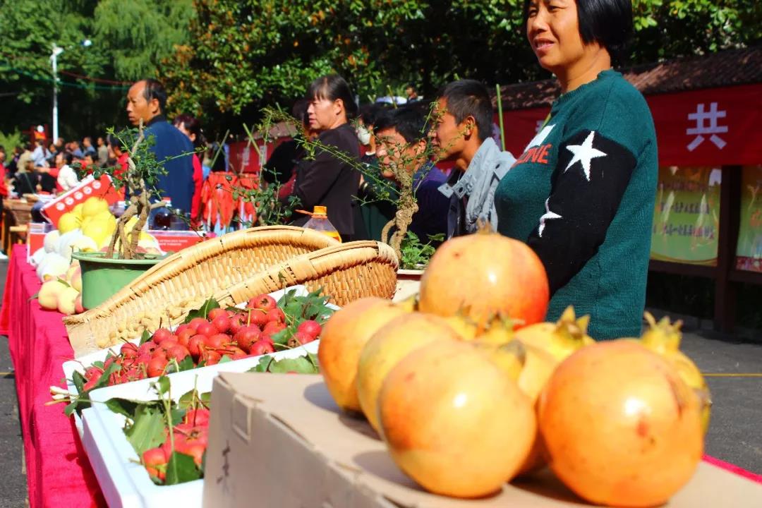 国庆黄金周“老家河南”旅游大丰收！河南迎客6186.6万人次，总收入464.6亿
