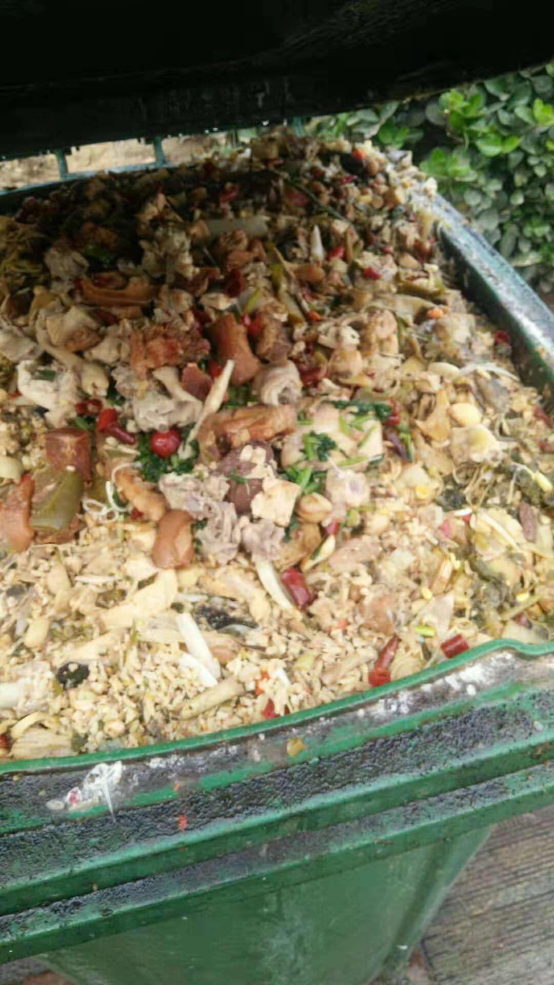 没人清餐厨垃圾,郑东10余家饭店垃圾发臭…咋回事?