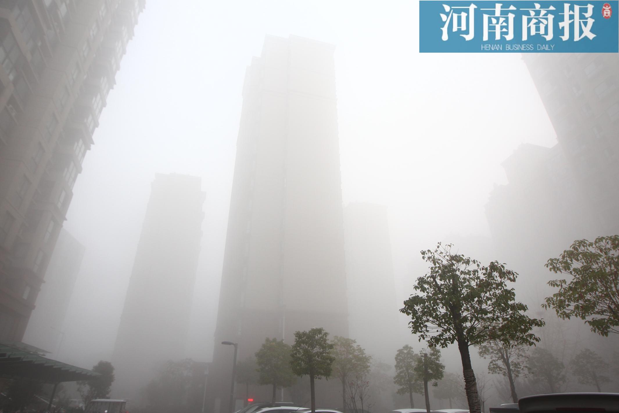 大雾袭郑州高楼腾雾悬在半空连红绿灯都丢了