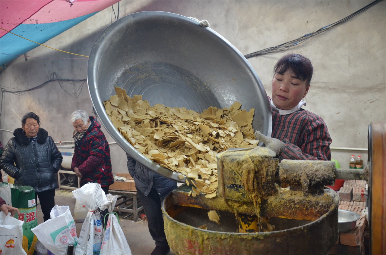 把黄豆放进榨油机里过三遍,就得到了豆油和豆饼,豆饼在过去都是用来喂