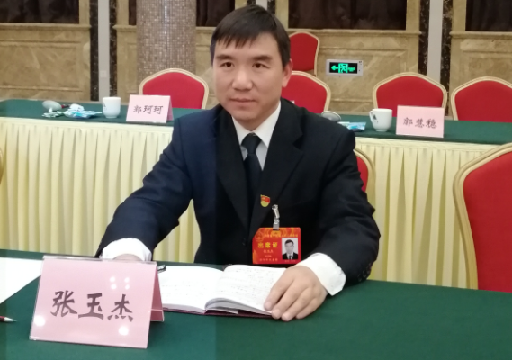 省人大代表张玉杰:将洛阳打造成国际旅游目的地