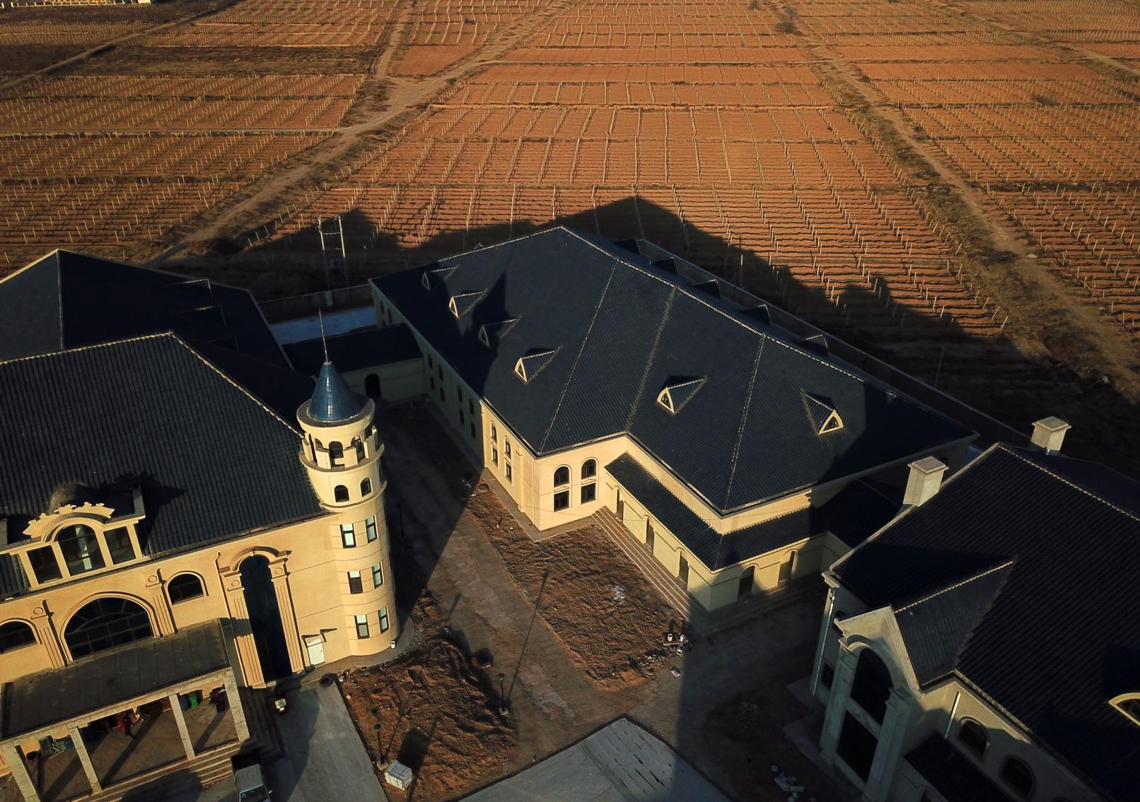 宁夏密登堡葡萄酒庄贺兰山下一颗冉冉升起的新星