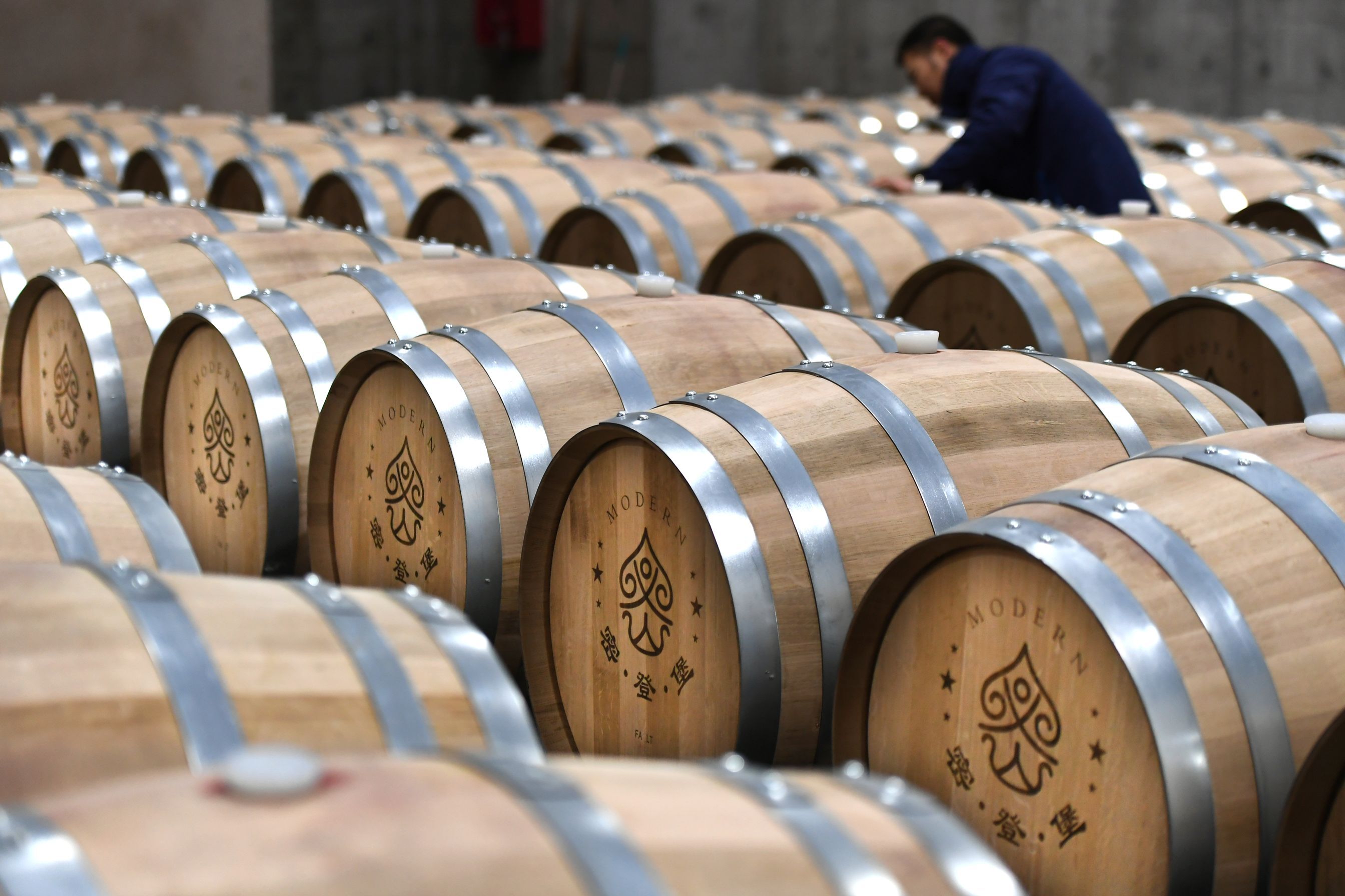 探寻密登堡葡萄酒酿造之谜好的葡萄酒是种出来的