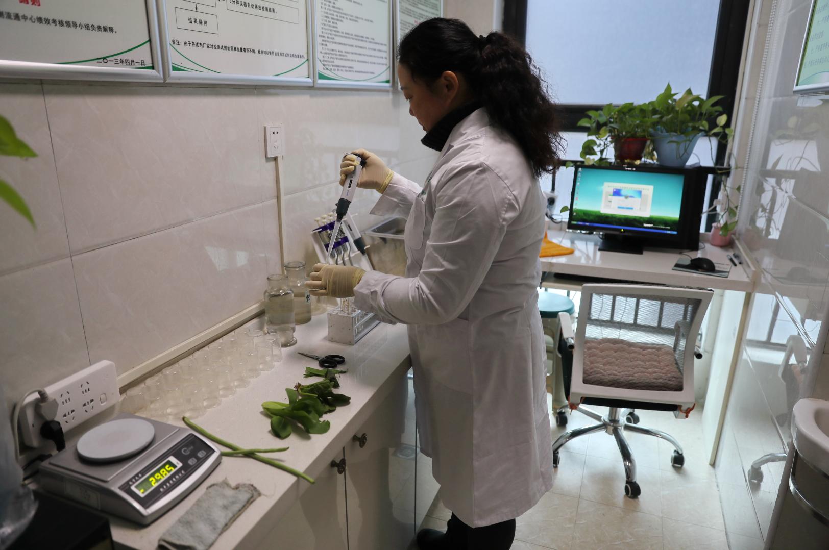 一棵蔬菜从生长到上餐桌!郑州老百姓吃得安全吗?独家揭秘!