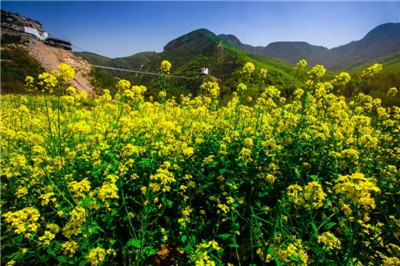 踏春季詩情畫意大熊山踏春尋芳仙人谷第二屆熊山踏青季全面啟動與你