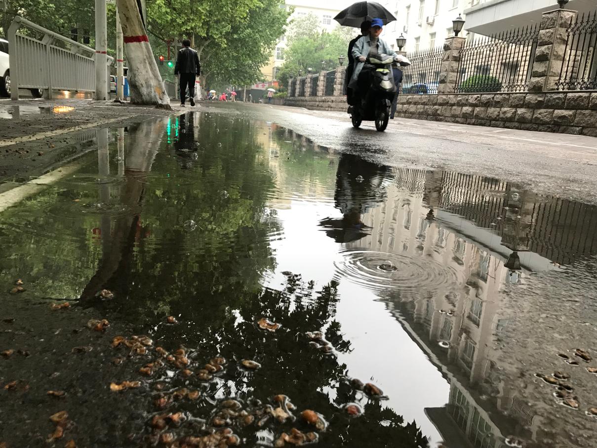 图集丨一夜暴雨！湘江长沙段水位上涨 - 城事 - 新湖南