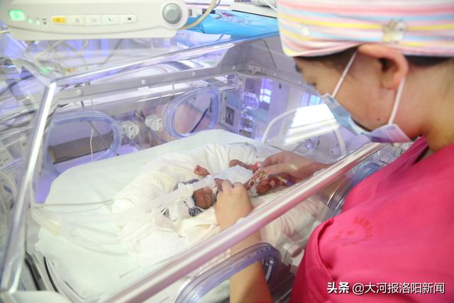 550克四肢仅成人手指大小洛阳巴掌宝宝成功闯关出院