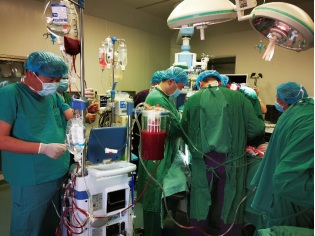 创伤二线杨鹏生主治医师,麻醉科主任储勤军,创伤专干王琰副主任医师