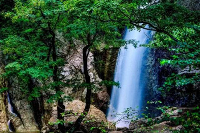云游仙境夏享清凉 2019老君山观海避暑节来啦