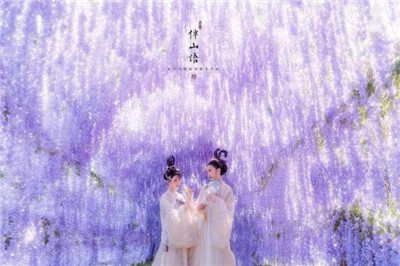 云游仙境夏享清凉 2019老君山观海避暑节来啦