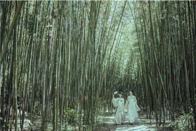 云游仙境夏享清凉 2019老君山观海避暑节来啦