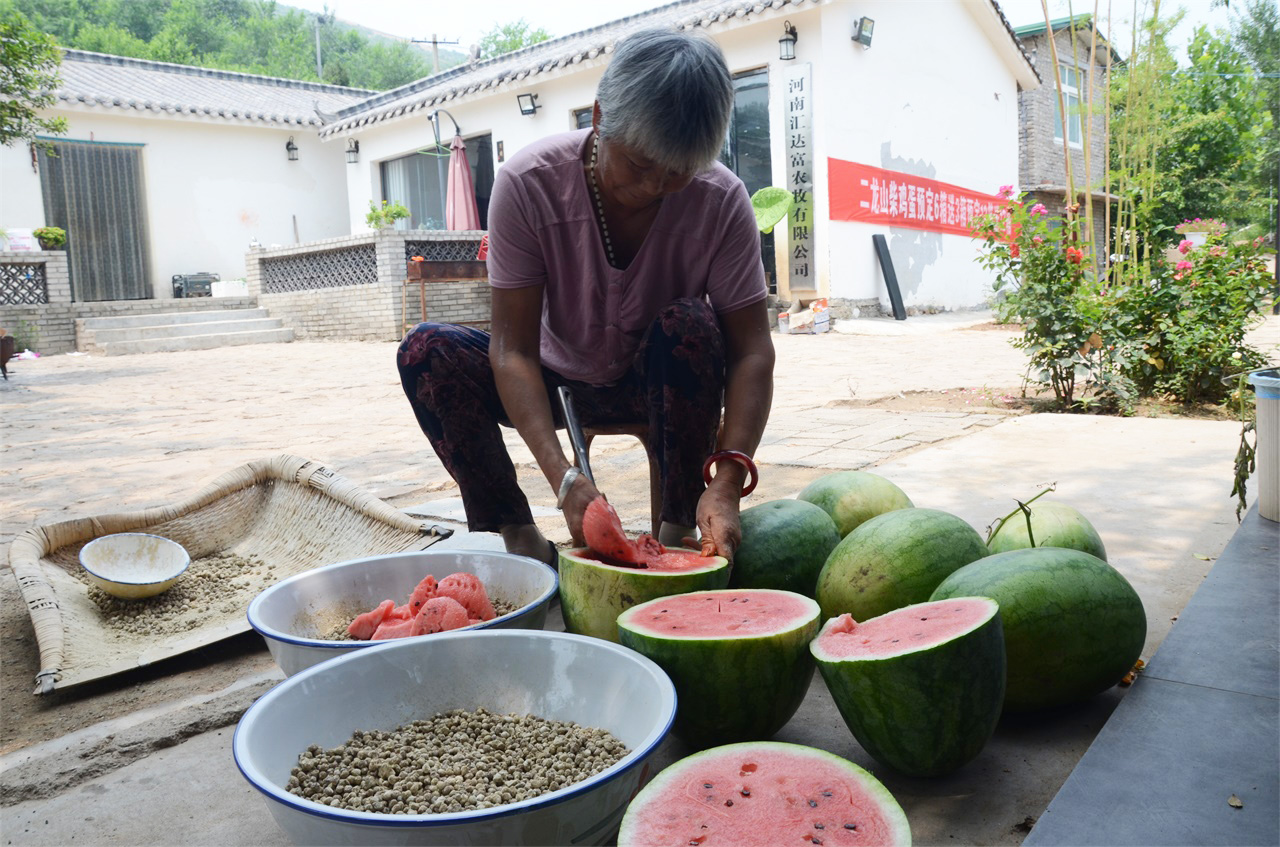 郑州市非遗代表性保护项目《西瓜酱制作技艺》在平顶山汝州市落户 - 哔哩哔哩