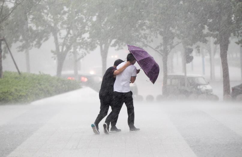 下雨被雨淋湿的图片图片