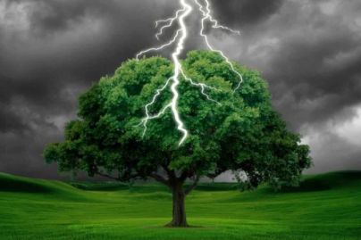 村民在树下打牌一个雷下来劈死8人