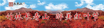 【红叶篇】醉美长寿山 片片红叶情