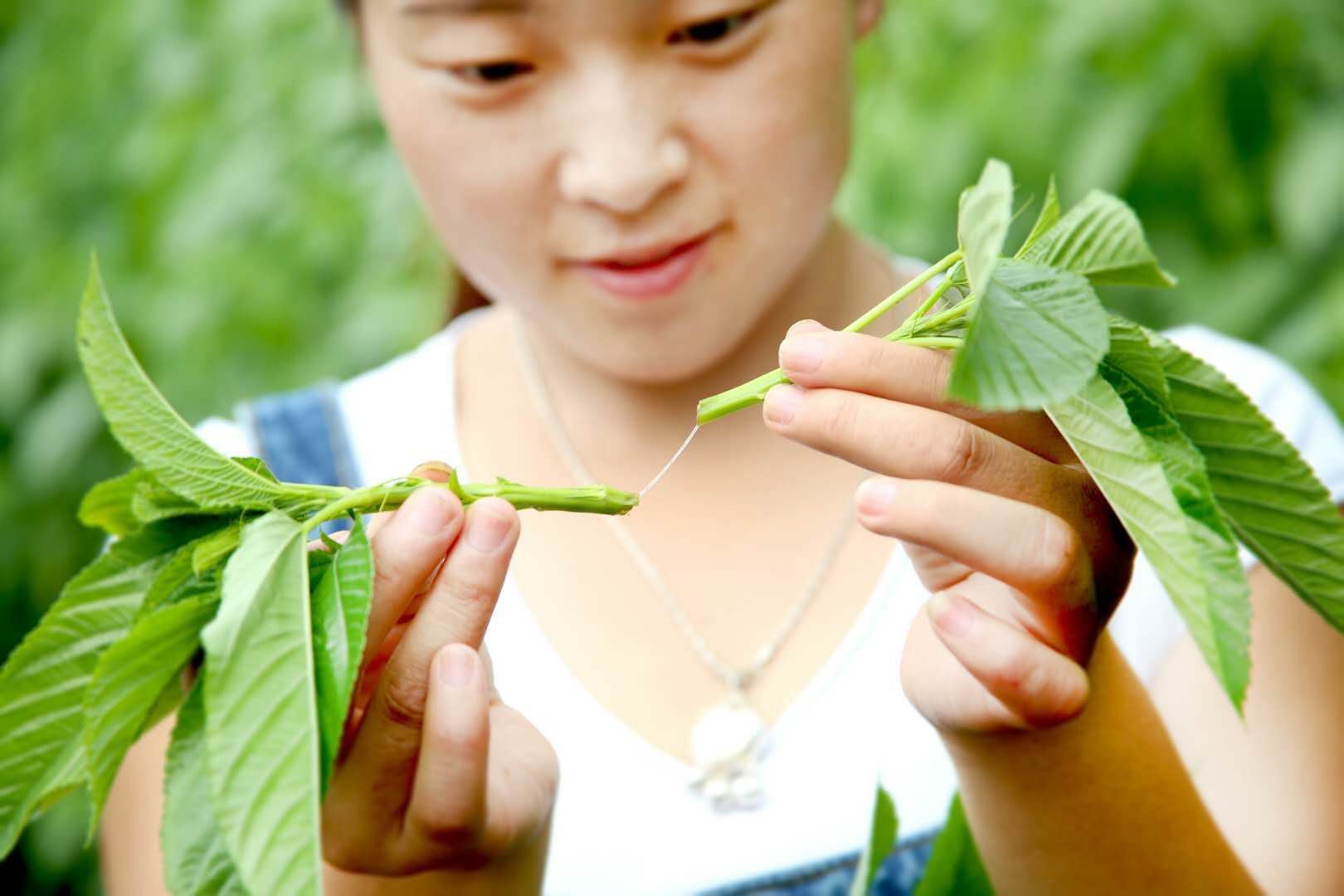 格外吸睛莫洛海芽亮相2019国际麻纺博览会引外国客商点赞