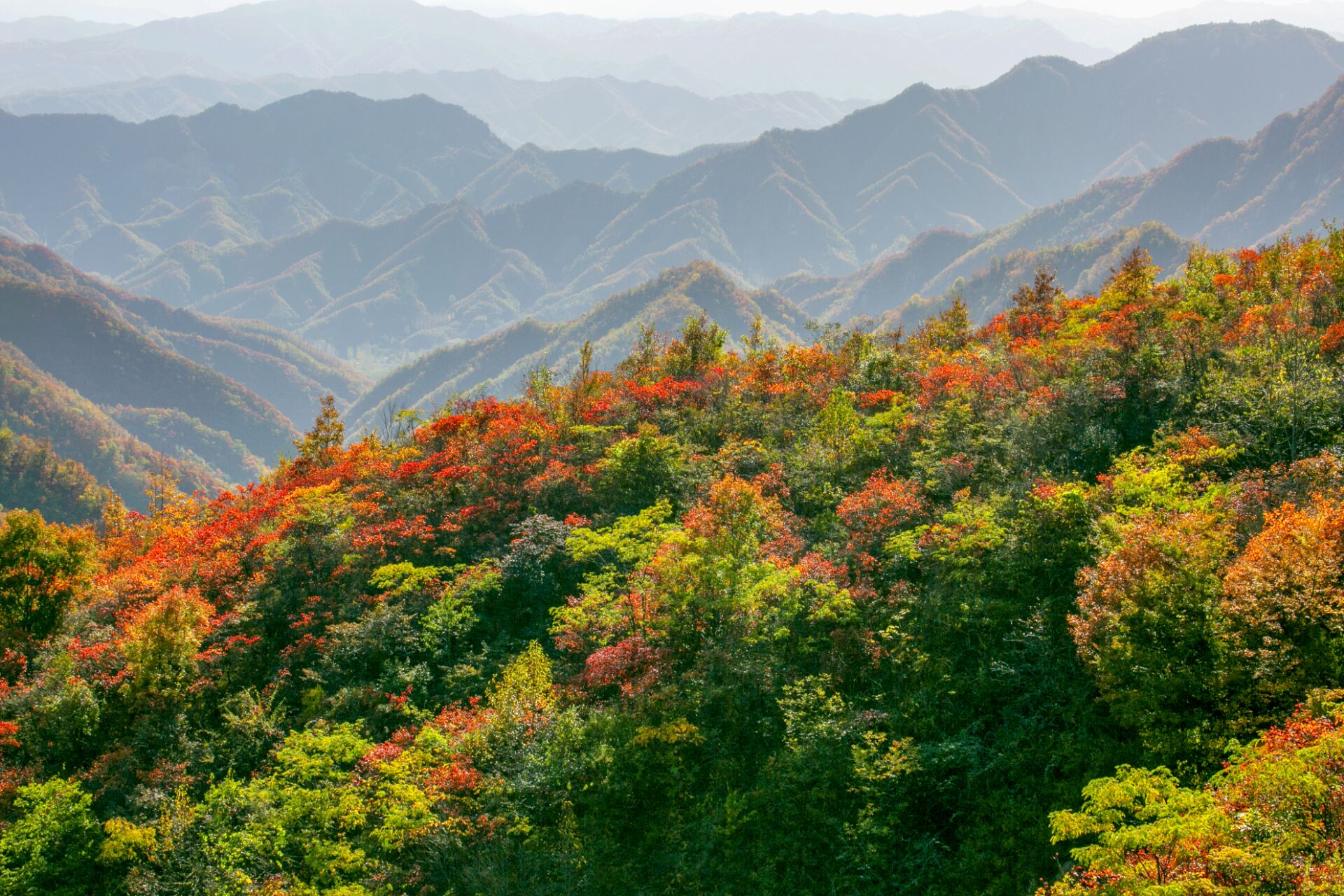 河南周末雾霾天,等下周一场大风来吹散!