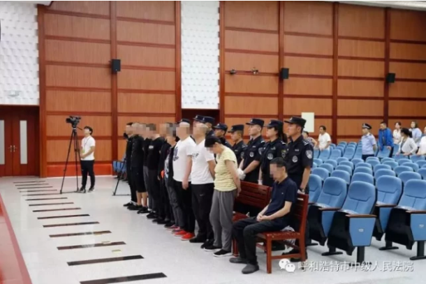 涉黑记者苗迎春等10人团伙首次曝光 一名女成员非法持枪