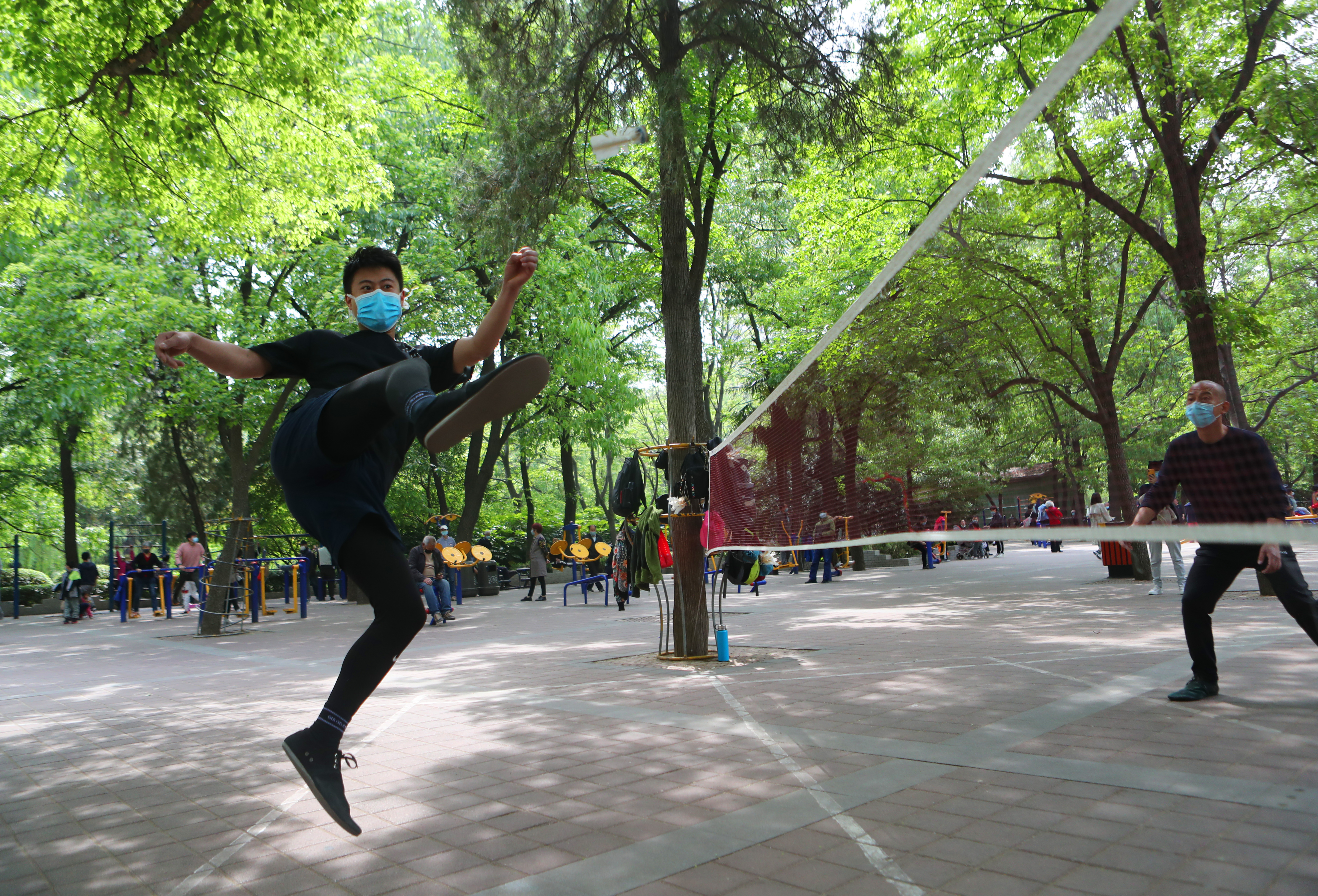 春日暖阳下的矫健身姿