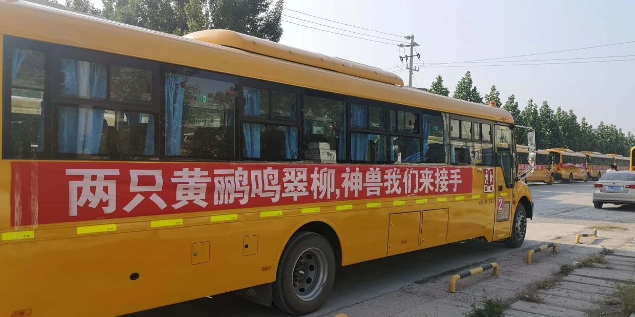 神兽归山开封小学生今起返校