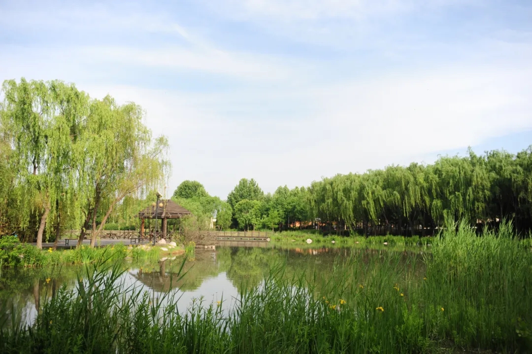 郑州绿园图片