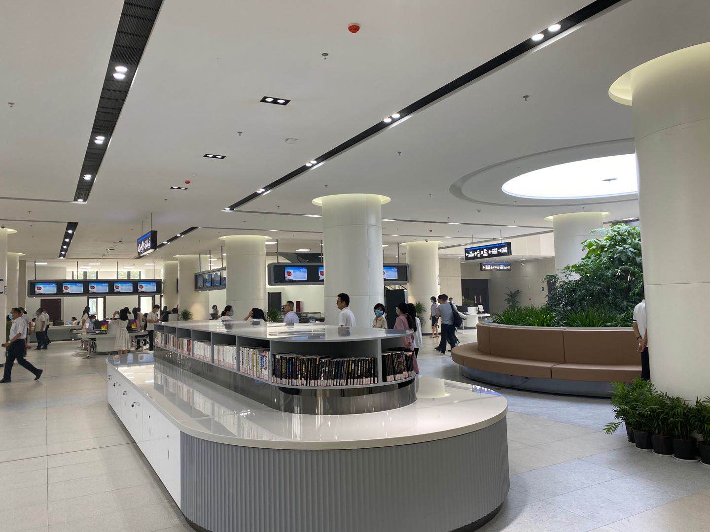 自贸区洛阳片区"升级版"综合服务大厅启用,视频直击!