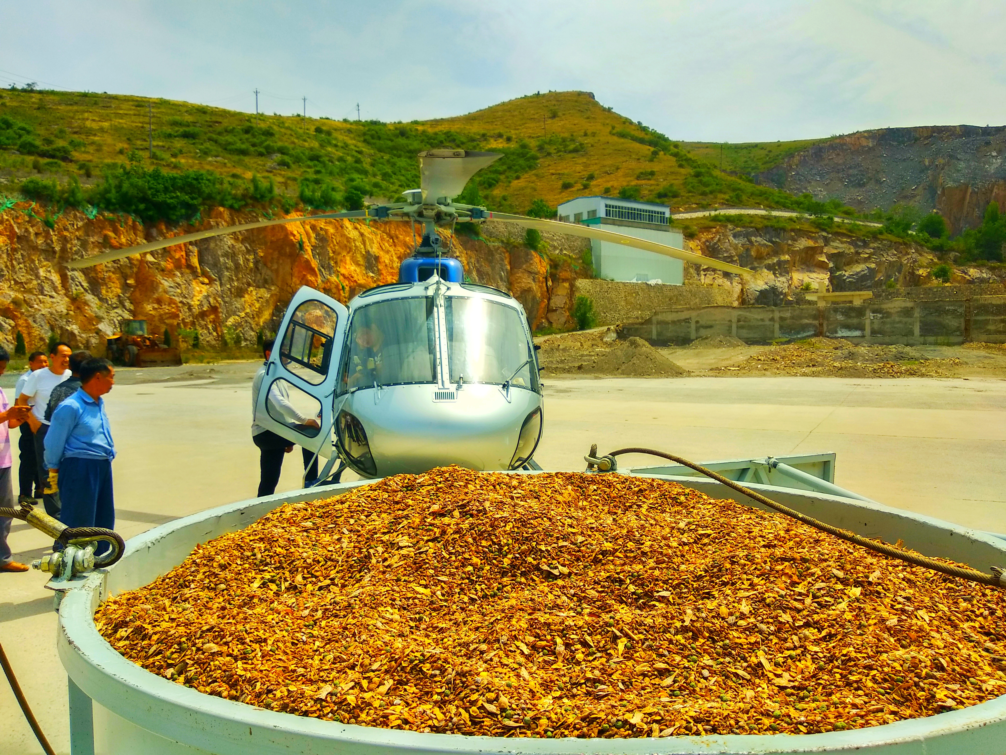 直升飞机种树13000多斤树种飞播10000亩荒山
