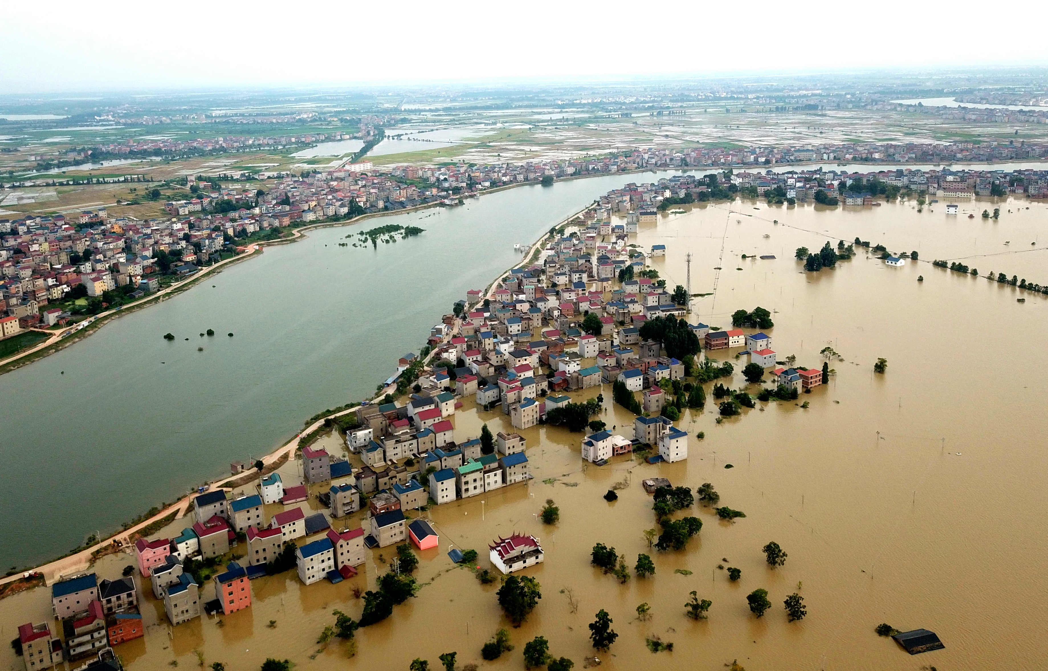 直击江西洪水被洪水淹没的鄱阳县昌洲乡