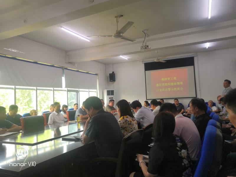 杨桥党工委基础党组织建设领域以案促改警示教育会