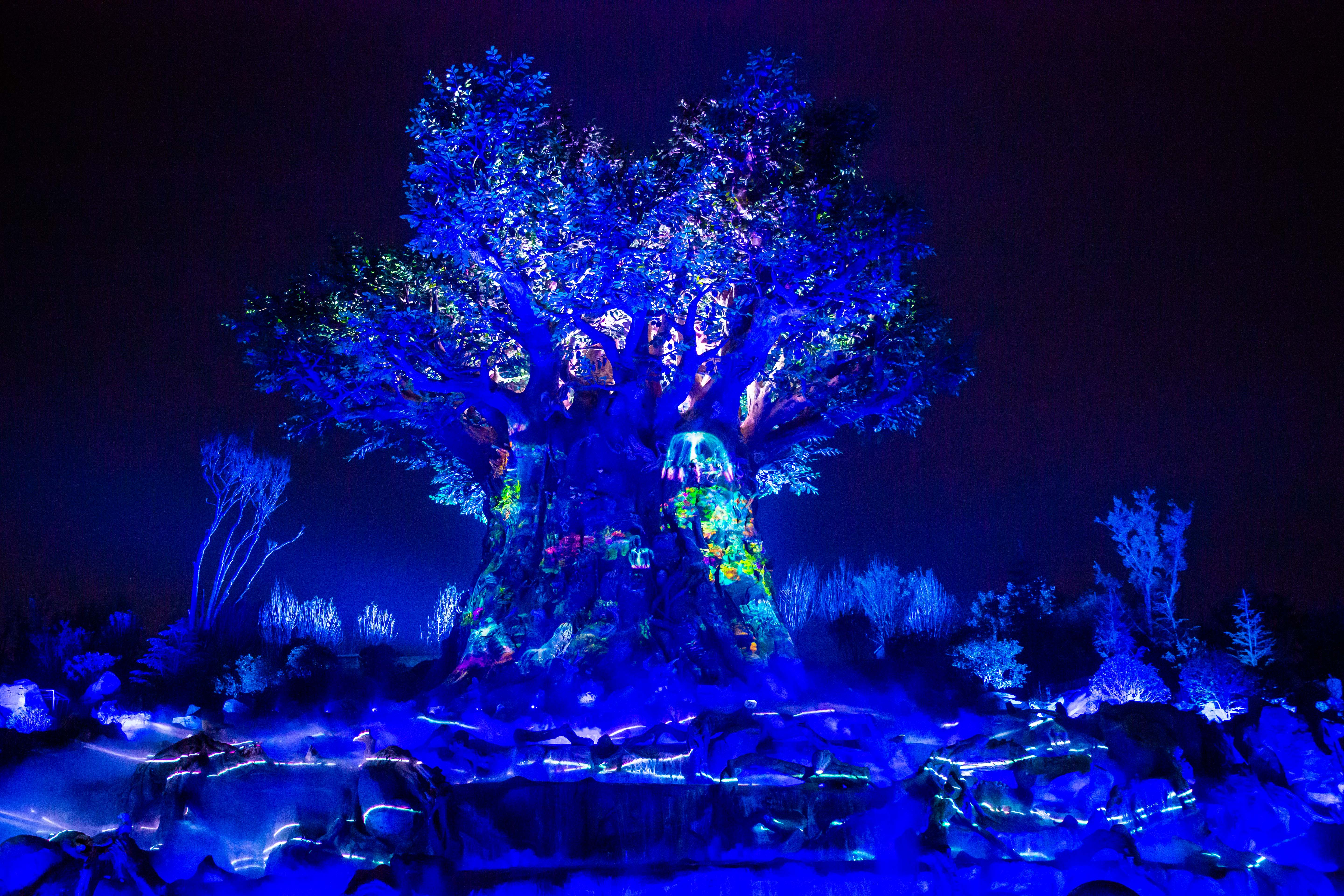 银基动物王国生命之树点亮唤醒双节假期夜场大秀