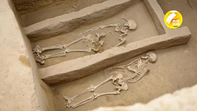 陕西寨山遗址发现多处活人殉葬墓