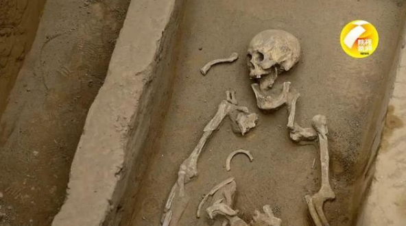 陕西寨山遗址发现多处活人殉葬墓