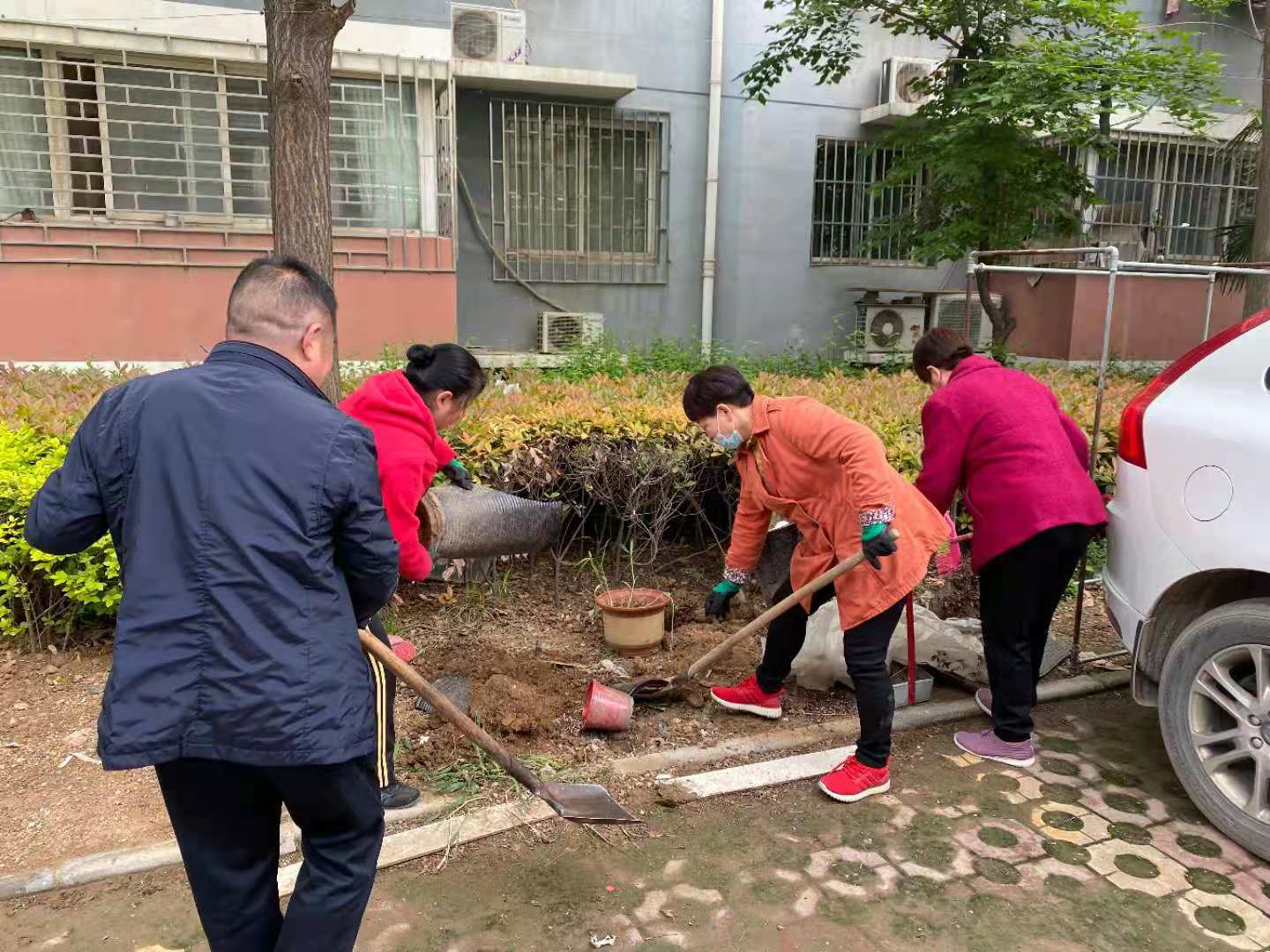 水木清城社区开展环境卫生整治