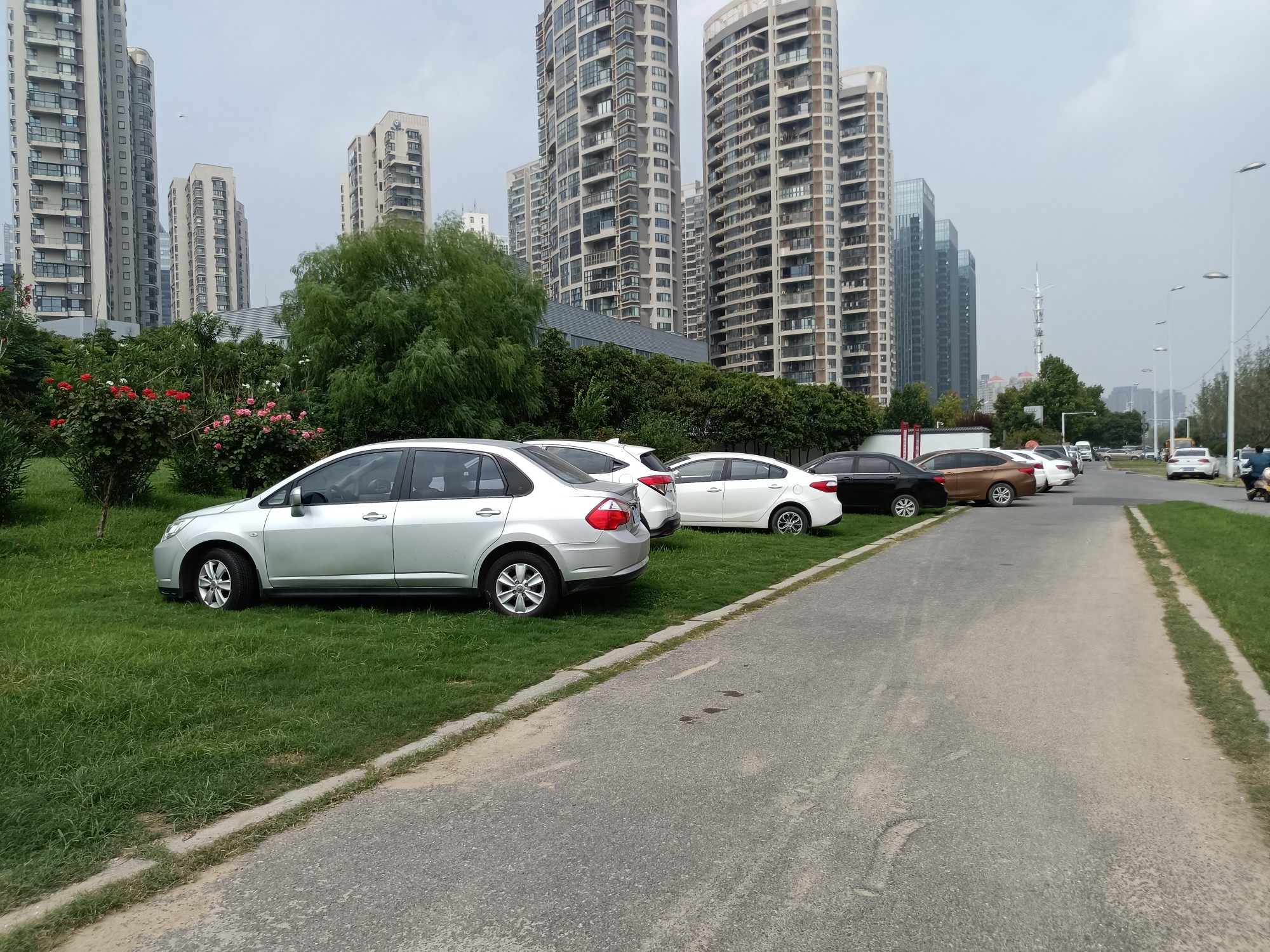 停车场也已停满,所以一些客户就会把车停在外边,或者开进绿化带内