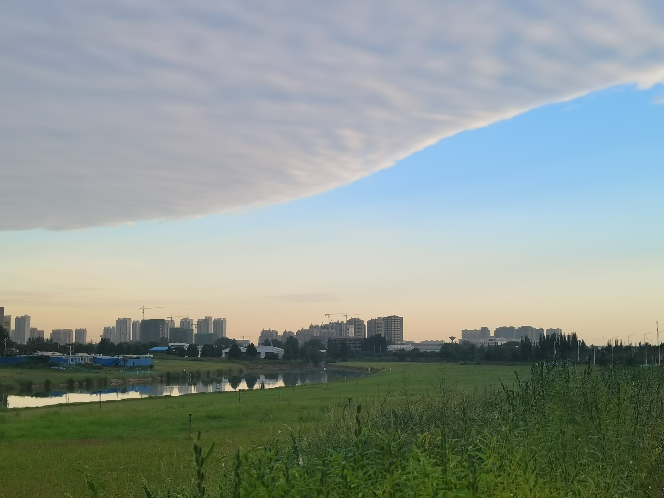 郑州今晨出现“阴阳天” 一道“云墙”预示着未来多雨|云墙|天空|大河报_新浪新闻